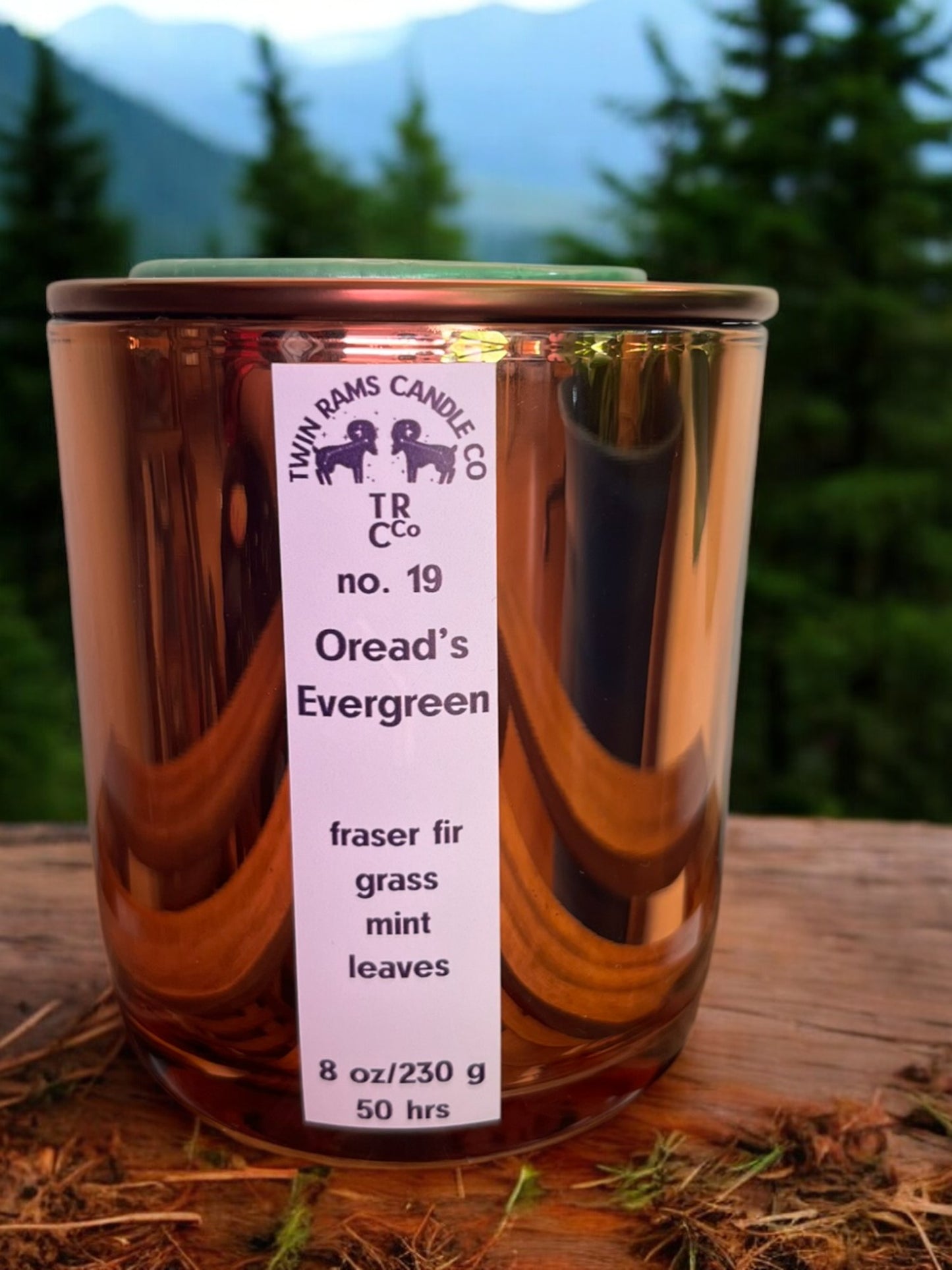 no. 19 Oread's Evergreen Candle