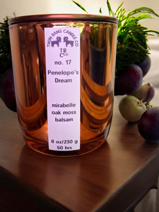 no. 17 Penelope's Dream Candle